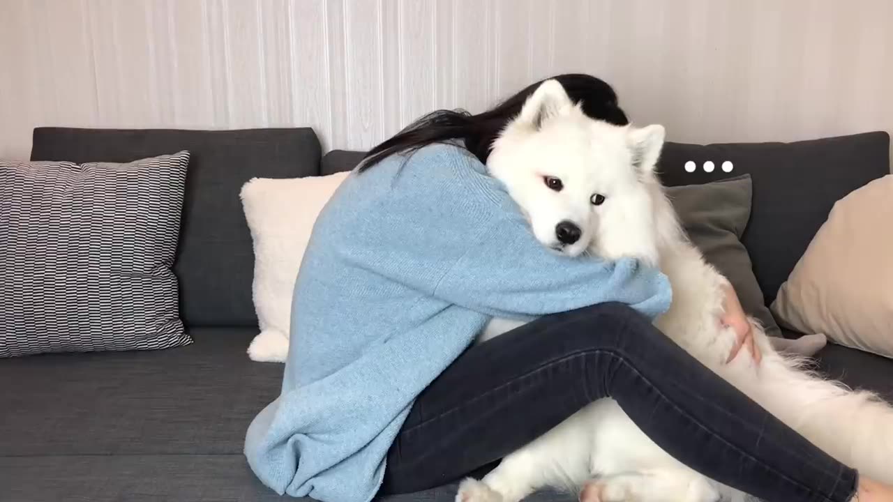 Hugging My Dog for too Long ( FUNNY REACTION )