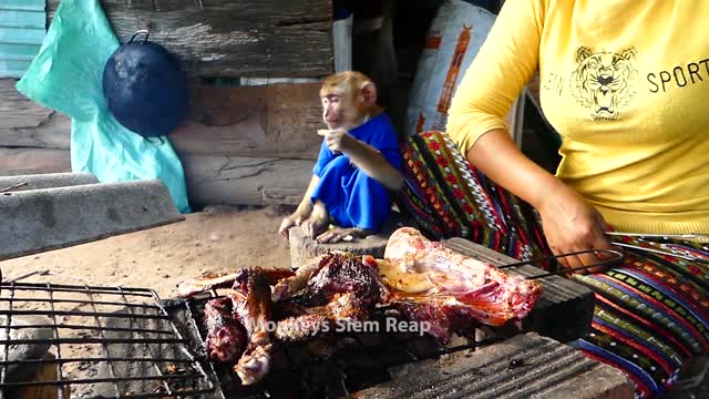 Monkey and lady eating grill meat duck with rice.