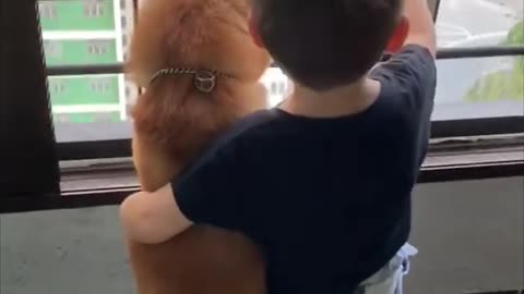 Dog and Kid Watching Traffic Together Like Best Friends