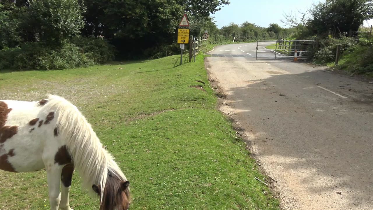 Plymouth Stagecoach bus to The Dartmoor Dinner then Dartmoor walk to Clearbrook