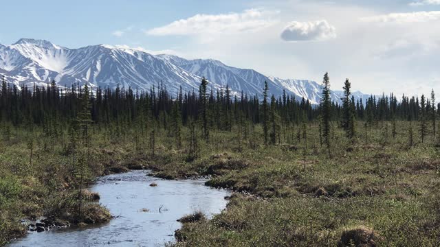 Cantwell, Alaska