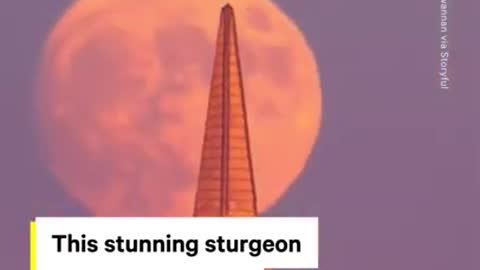 Last Supermoon of 2022 Lights Up the Sky