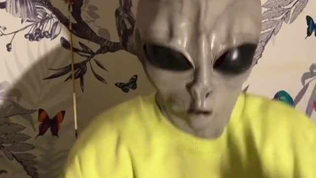 Fun Vid