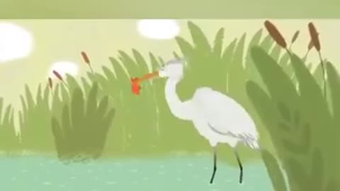 Baghla emotional Bird cartoon