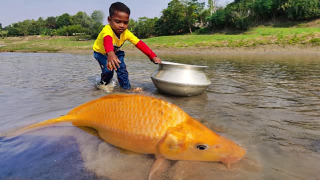 Smart Boy Catching Fish by Hand 2022 Really Amazing Hand Fishing Video