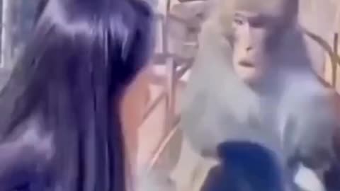 Cute Animals reaction videos 2023