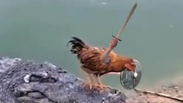 If Birds Have Arms (part:3)