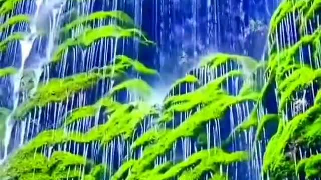 The beautiful scenery of nature