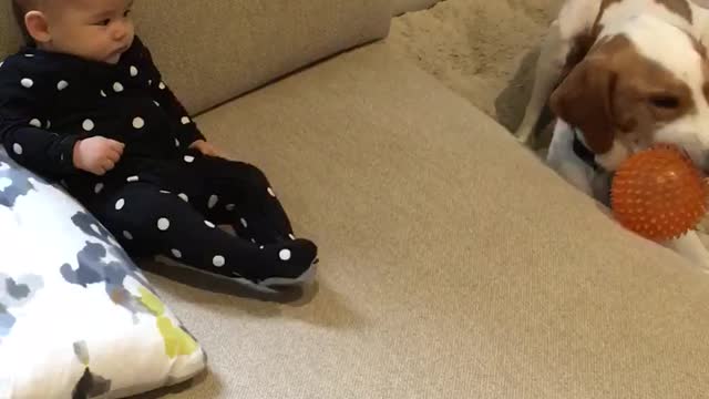 Dog entertains baby during rainy day