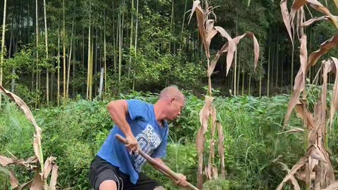 Chinese Farmer's New Technique Surprise Everyone.Watch Till End.