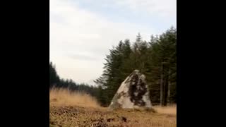 tour of stone circles . Dartmoor