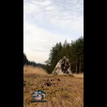 tour of stone circles . Dartmoor