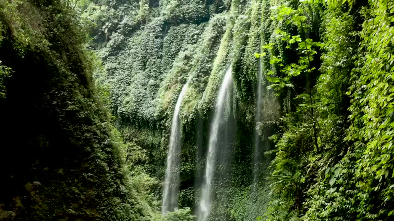 A waterfall in the forest