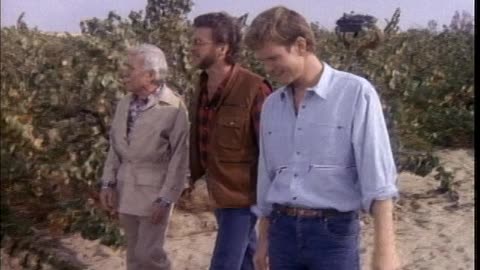 Falcon Crest S5E14