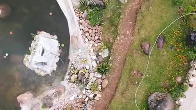 When Nature Shows its Beauty