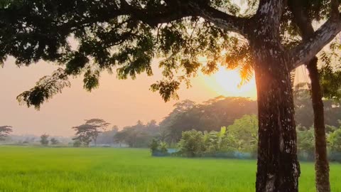 Natural Bangladesh