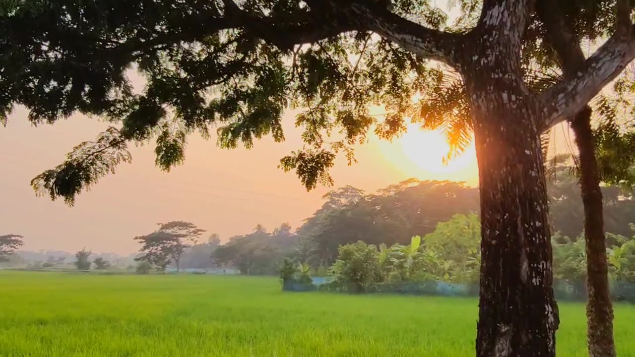 Natural Bangladesh