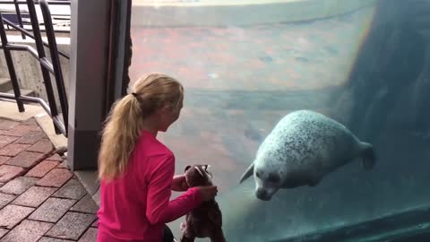 Baby Goes To The Aquarium