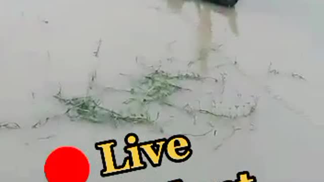Live Accident