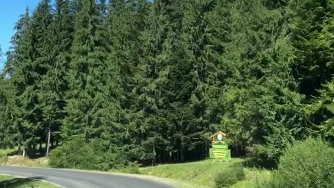 Driving on the road and watching amazing scenery view with trees and mountains