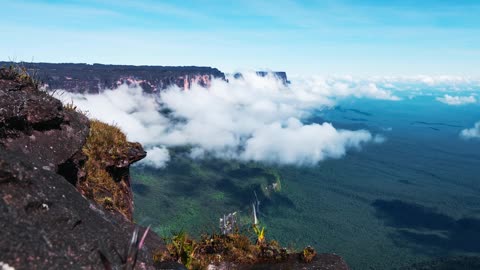 The wildlife, the people, the nature. No place is like Madagascar