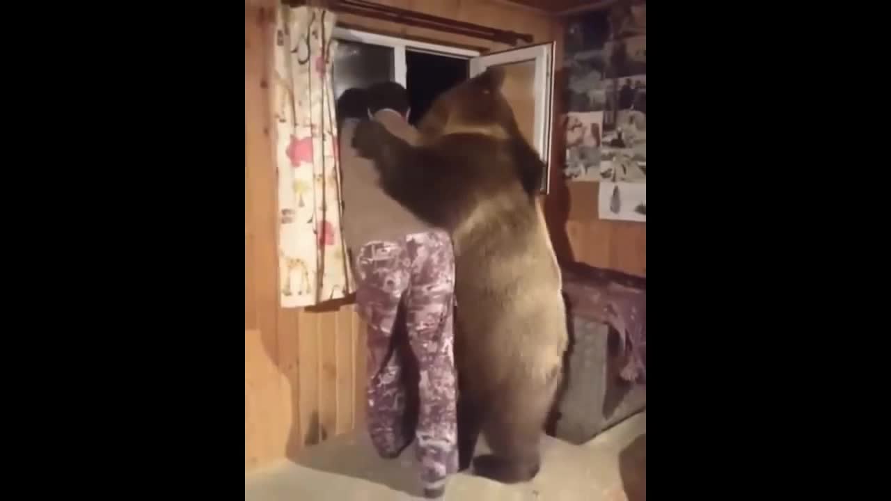 Bear.... came my friend