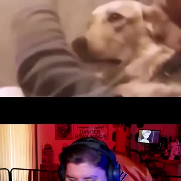 Laugh You Lose Challenge #201