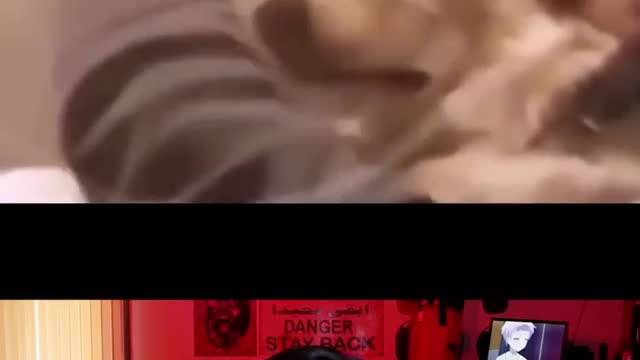 Laugh You Lose Challenge #201