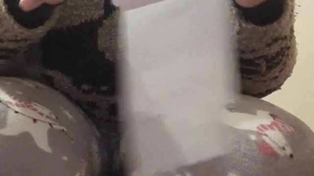 Playing with toilet paper