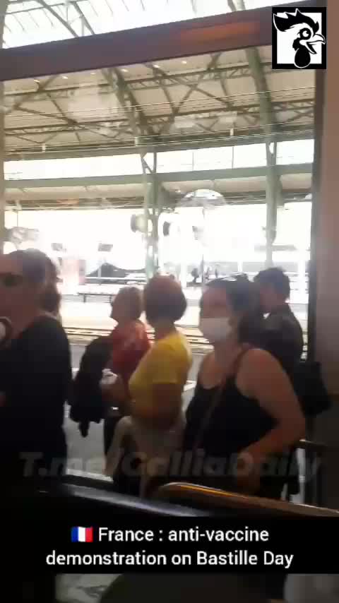 Vaccine Passport Protests Erupt in France