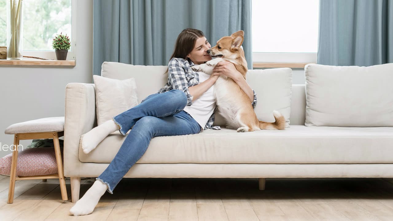 Keep Your House Super Clean With Pets