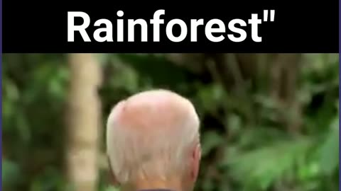 "Biden Retreats To The Rainforest"
