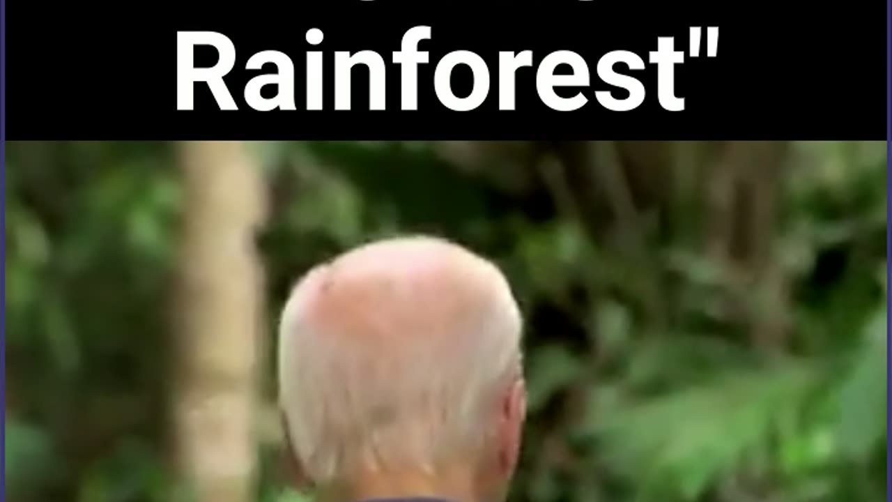 "Biden Retreats To The Rainforest"