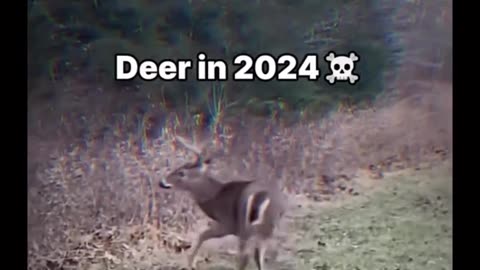 Skinwalkers or zombies? Bizarre Zombie-Like Behavior in Deer Caught on Camera