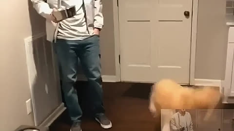 Play the woman