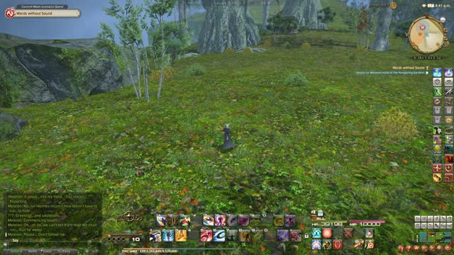 FFXIV Endwalker MSQ 70-Words Without Sound