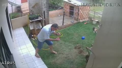 man tries to kill cockroaches and ends up blowing up his own backyard