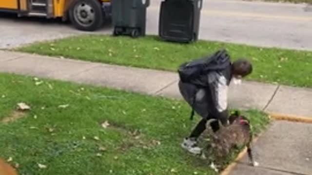 Dog enthusiastically waits for best friend to came home for school bus