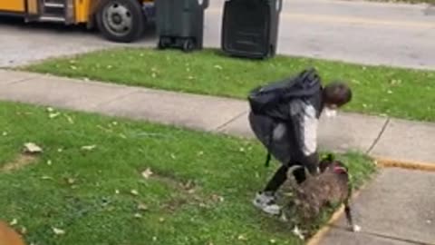 Dog enthusiastically waits for best friend to came home for school bus