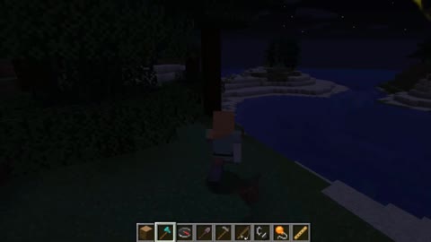 Minecraft vanilla skin version 1.17.1_Shorts_12