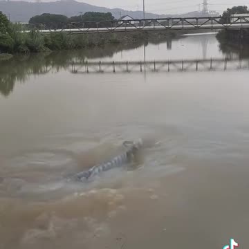 Where is this place?