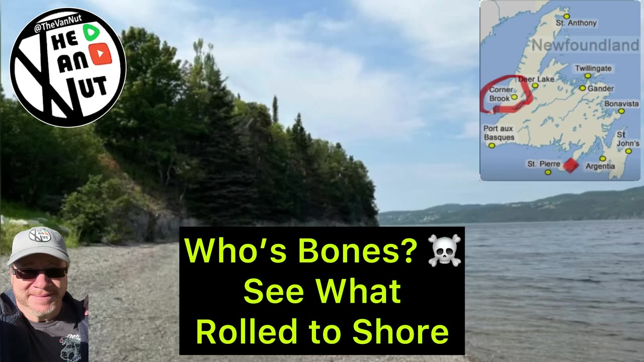 Who’s Bones, See What Rolled to Shore. Free Boat, Cruise Ship