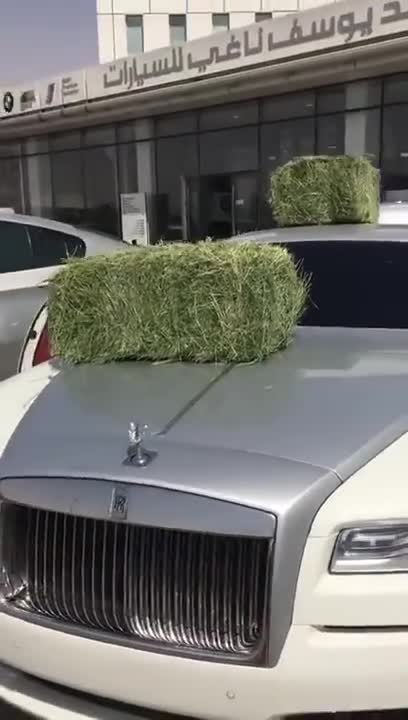 UAE prince puts sheep and hay in a Rolls Royce