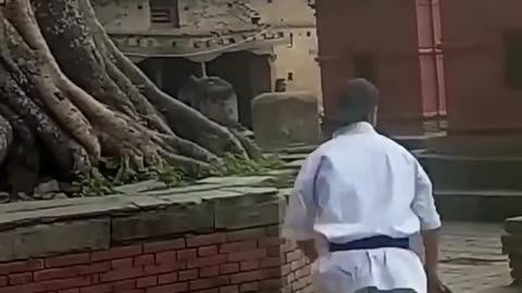 Black Belt Destruction