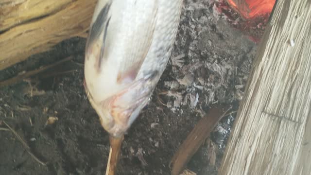 Fired fish