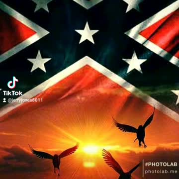 The confederate flag