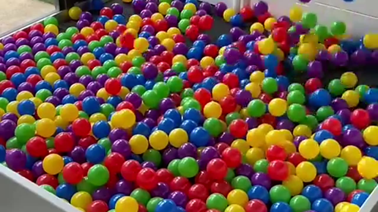 Building a Puppy Ball Pit! #cat #cute #kitten #pets #meow #videos #shorts #dog