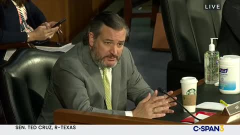 watch Ted Cruz Go Into Prosecutor Mode, EXPOSES FBI's Wray on Antifa