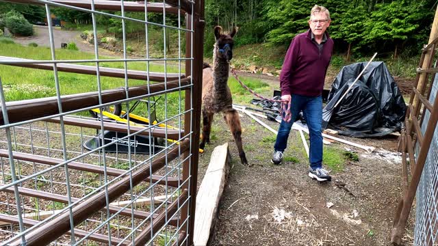 Beta Testing the Pole Barn Trail