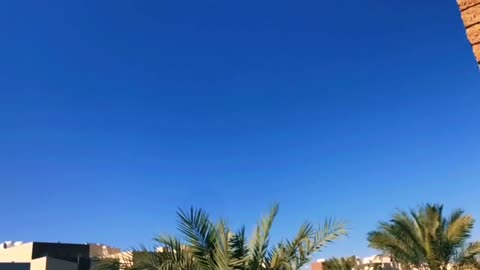 SUNNY DAY